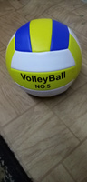 Мяч волейбольный 5 размера #6, Самсонов С.
