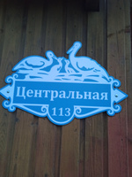 Адресная табличка на дом 490х330 мм. "Домовой знак Аисты", голубая, из пластика, УФ печать не выгорает #86, Дмитрий В.