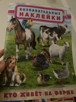 Комплект книг с познавательными наклейками #4, Светлана О.