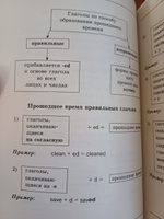 Все правила английского языка в схемах и таблицах | Державина Виктория Александровна #4, Раиса С.