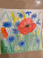 Раскраска для детей и взрослых : "Сюжеты для акварели"-Чудесные цветы. Рисуем акварелью #31, Майя З.