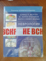 Неврология. Атлас с иллюстрациями Неттера #1, Артём Д.