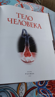 Тело человека. Детская энциклопедия школьника 7 лет | Смит М. #6, Мария Г.