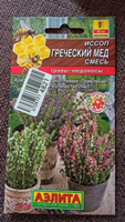 ИССОП ГРЕЧЕСКИЙ МЕД. Семена. Вес 0.1 гр. Неприхотливый, зимостойкий, очень декоративный многолетник и отличный медонос. #47, Максим П.