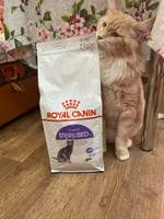 Royal Canin Sterilised 37 (Роял Канин Стерилайзд 37 со вкусом птицы) корм для взрослых стерилизованных кошек всех пород 2 кг #34, Анастасия Ф.