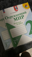 Окружающий мир. Рабочая тетрадь. 2 класс. В 2-х частях. Комплект. ФГОС Плешаков Андрей Анатольевич | Плешаков Андрей Анатольевич #1, Ирина К.