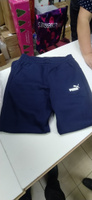 Брюки спортивные PUMA ESS Logo Pants #27, Ilgiz