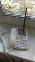 Стационарный сотовый телефон BQ 2839 Point White #64, Андрей К.