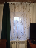 Curtain & Textile Тюль высота 140 см, ширина 150 см, крепление - Лента, Белый,светло-коричневый #38, Ирина Т.