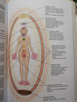 Тонкое тело: Полная энциклопедия биоэнергетической медицины (новое оформление) | Дэйл Синди #1, Светлана Е.