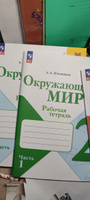 Набор рабочих тетрадей Математика, русский язык, окружающий мир 2 класс (к новому ФП). ФГОС | Моро Мария Игнатьевна, Волкова Светлана Ивановна #3, Татьяна Б.