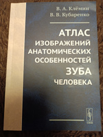 Атлас изображений анатомических особенностей зуба человека | Кубаренко Виктория Владимировна #1, Юля Ч.