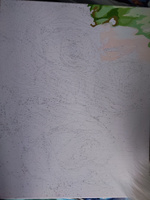 Картина по номерам на холсте на подрамнике 40х50 см цветы Бело-розовые розы, набор для творчества для детей и взрослых с акриловыми красками и кистями, Остров Сокровищ #39, Светлана