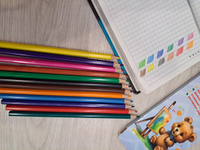 Цветные карандаши пластиковые 12 штук #18, Анастасия Е.