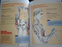 Анатомия силовых упражнений для мужчин и женщин #4, Валерий П.