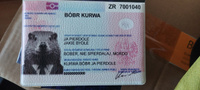 Обложка на паспорт с принтом bobr kurwa мем #7, Николай П.