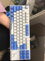 Игровая клавиатура Red Square Keyrox TKL Aquarius (RSQ-20036) G3ms Amber Switch белый/голубой Русская раскладка USB #99, Александр Г.