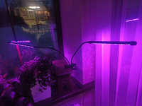 Фитолампа для растений и рассады полный спектр на прищепке 2 лампы #46, Ирина Г.
