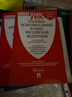 Уголовно-исполнительный кодекс РФ (УИК РФ) по сост. на 25.09.24 с таблицей изменений и с путеводителем по судебной практике. #5, Никита П.