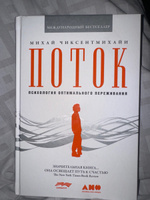 Поток: Психология оптимального переживания | Чиксентмихайи Михай #8, Владислав Г.