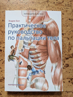 Путеводитель по телу. Практическое руководство по пальпации тела | Бил Эндрю #2, Владимир М.