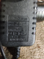 Пила аккумуляторная цепная HIOMEE 6 дюймов с двумя аккумуляторами в кейсе #149, Александр П.