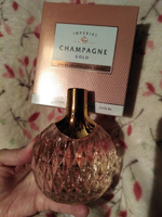 Туалетная вода для женщин Champagne Gold, parfum, духи женские, духи, женский парфюм, парфюм, парфюмерия, туалетная вода, подарок на 8 марта, 100 мл. #3, Яницкая Лариса Владимтровна