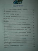 Страна новогодних игрушек | Ракитина Елена Владимировна #6, Людмила