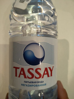 Вода негазированная Tassay природная, 12 шт х 0,5 л #86, Татьяна