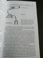 Клиническое питание собак и кошек. Симпсон Дж., Андерсон Р. #5,  Анна В.