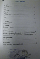 Внеклассное чтение. 5 класс. Школьная библиотека. Внеклассное чтение | Твен Марк, Чехов Антон Павлович #6, Ольга М.