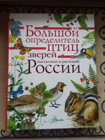 Большой определитель птиц, зверей, насекомых и растений России | Волцит Петр Михайлович, Пескова Ирина Михайловна #15, Вера