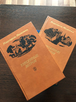 Унесенные ветром (комплект из 2 книг) | Митчелл Маргарет #1, Алиса Копейкина