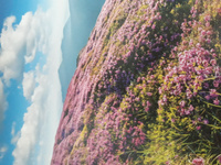 Картина в раме Postermarket "Розовые рододендроны в горах", 40 х 40 см #6, Зарецкая Анна