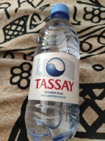 Вода негазированная Tassay природная, 12 шт х 0,5 л #73, павел