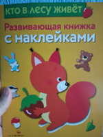 Кто в лесу живет. Развивающая книжка с наклейками | Шарикова Е. #38, Юлия