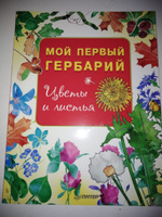 Мой первый гербарий. Цветы и листья #28, ПД УДАЛЕНЫ