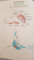 Анатомия йоги | Каминофф Лесли, Мэтьюз Эйми #7, Татьяна