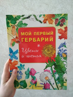 Мой первый гербарий. Цветы и листья #3, Надюша