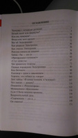 Приключения Электроника. Е. Велтистов. Школьная библиотека. Внеклассное чтение | Велтистов Евгений Серафимович #74, Алена Б.