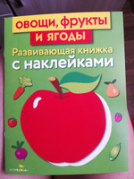 Овощи фрукты и ягоды. Развивающая книжка с наклейками | Маврина Лариса Викторовна #27, Мария П.