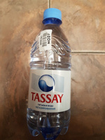 Вода негазированная Tassay природная, 12 шт х 0,5 л #85, Юлия