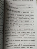 Вечное пламя (#3) | Мессенджер Шеннон #5, Кравчук Евгения Владимировна