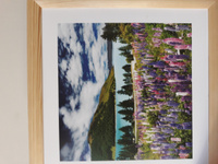 Картина в раме Postermarket "Дикие люпины в Новой Зеландии", 40 х 40 см #3, Зарецкая Анна