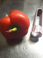 Нож для удаления сердцевины перца FACKELMANN, 13 см, для вырезания сердцевины для овощей, удаление середины #4, Ирина