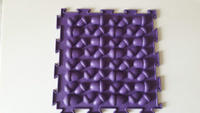Модульный коврик Ортодон Жёлуди жёсткие (фиолетовый) #33, Рамона