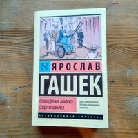 Похождения бравого солдата Швейка | Гашек Ярослав #2, Александр