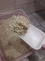 Наполнитель кукурузный для кошачьего туалета Homecat, комкующийся, без отдушки 6 л 1 шт #239, Виктория
