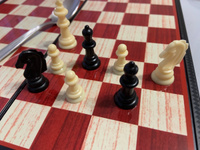 Набор настольных игр Bondibon "Удачная партия", 3в1: магнитные нарды, шашки, шахматы, подарок #2, Анастасия В.