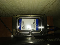 Western Digital 1 ТБ Внутренний жесткий диск (WD10EZEX)  #92, Алексей